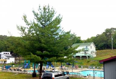 House Air conditioning Bushkill