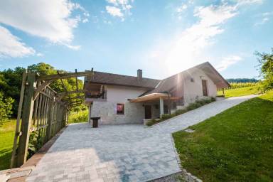 House Radovlja