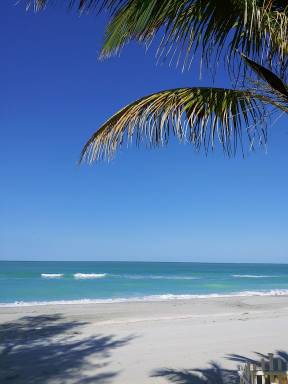 House Manasota Key
