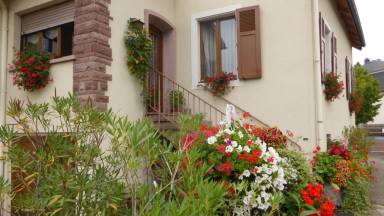 Cottage  Colmar