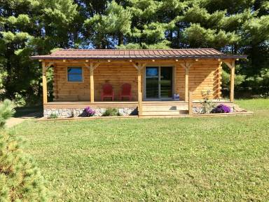 Cabin Goshen