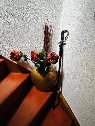 foto10
