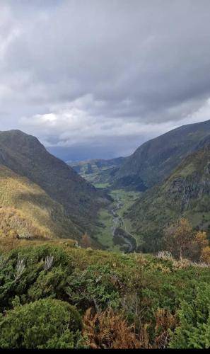 foto14