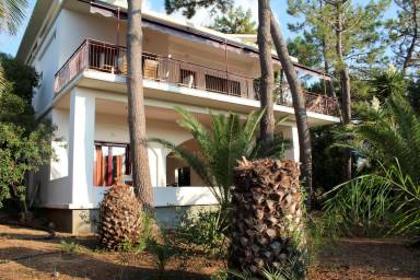 Ferienwohnung Kyparissia