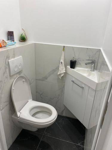 foto10