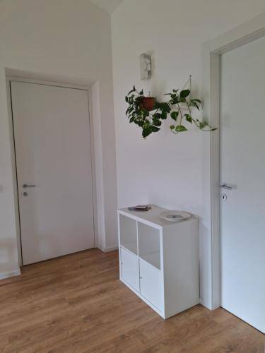 foto17