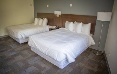 Motel Mayo