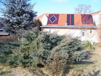 House Weinböhla
