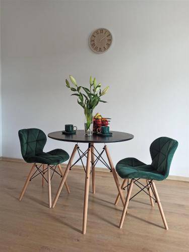 Apartament Jedlina-Zdrój