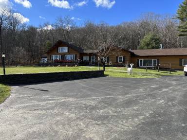 Cabin Pet-friendly Austerlitz