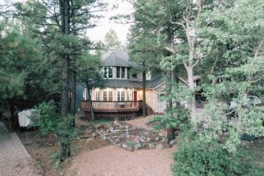 297 m² Cabin