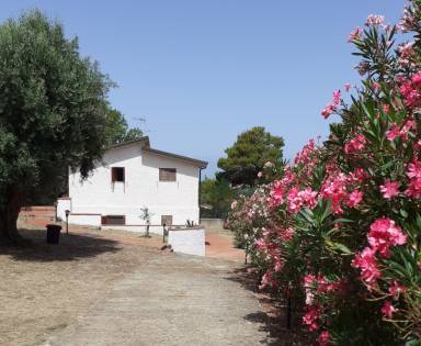Casa a Faro Capo Vaticano con terrazza e giardino