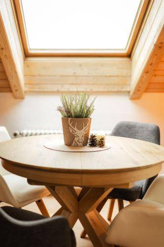 Charming apartment with terrace | Dogs allowed — photo 5