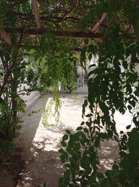 House  San Miguel