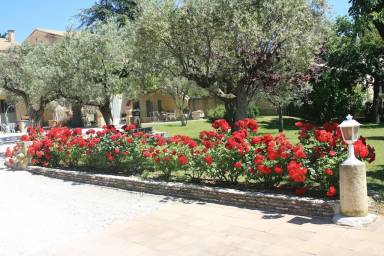 Apartment Internet Crillon-le-Brave