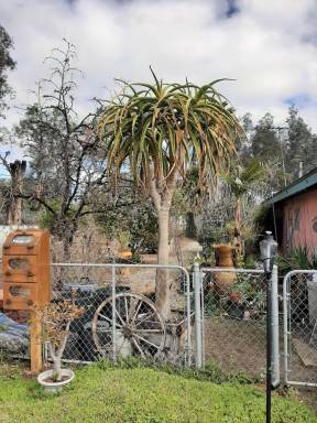 Aparthotel Moreno Valley