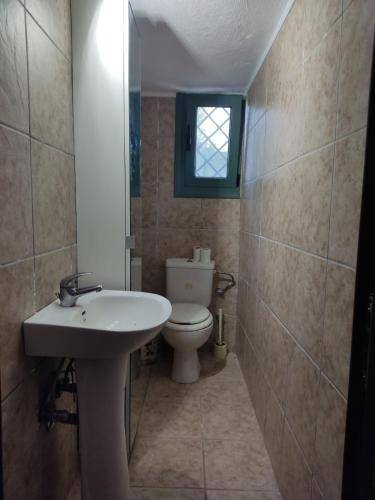 foto15