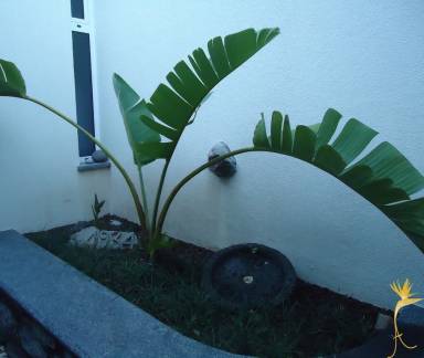 Farmhouse Sao Vicente
