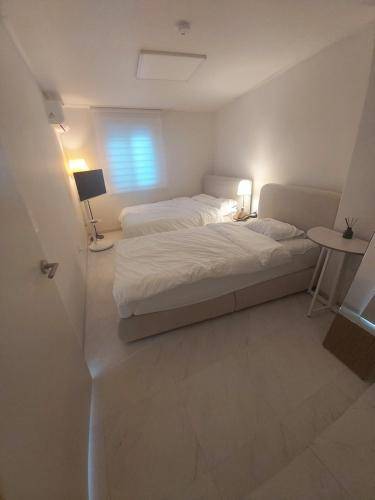 foto19