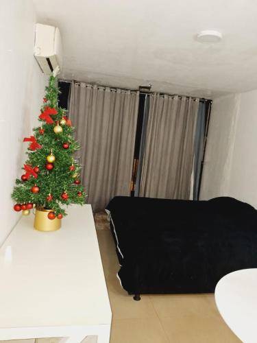 foto14