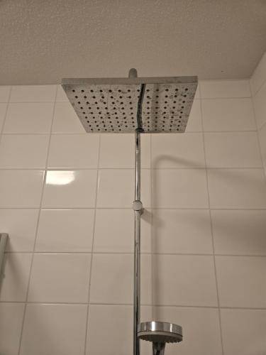 foto17