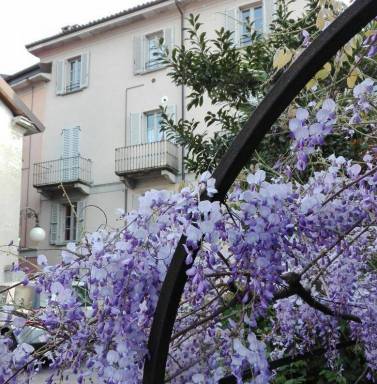 Appartamento Miazzina