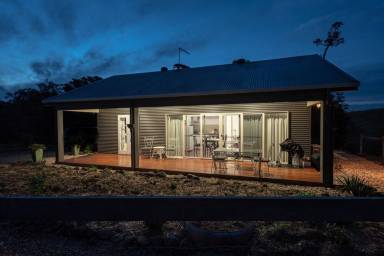 Apartment Flying Fox