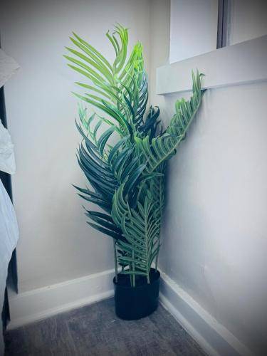 foto11