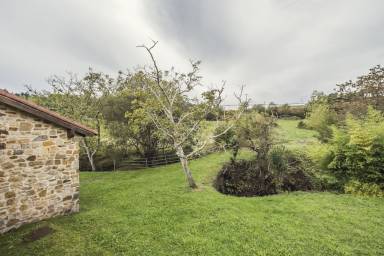 20 m² Ferienhaus
