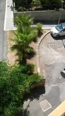 foto24