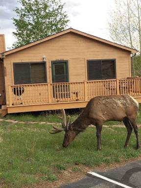 Cabin Estes Park
