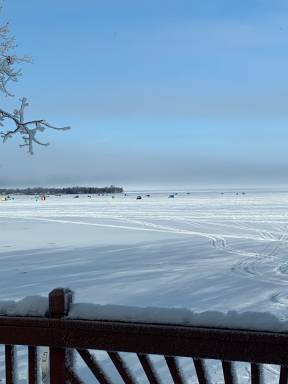 House  Houghton Lake
