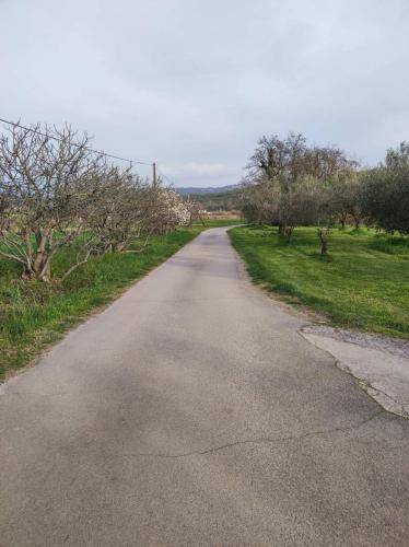 Apartma Čežarji