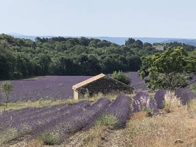 Maison de vacances 25 m²