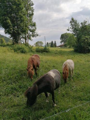 foto16