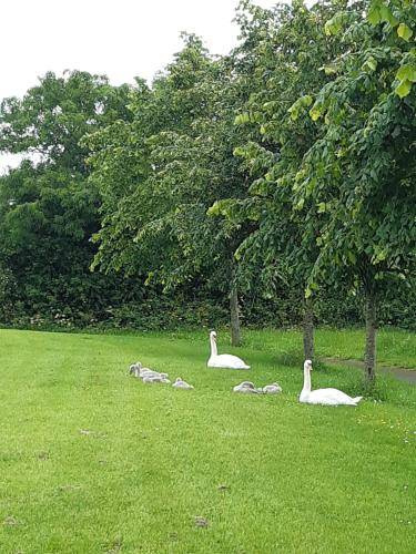 Bed and breakfast Dublin
