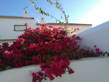 Casa Arico