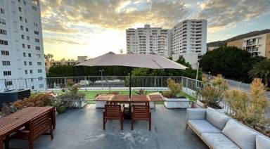 Condo Hollywood