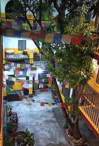 foto8