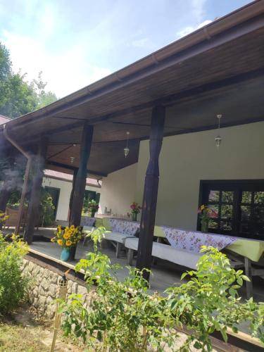 Apartament Susiec