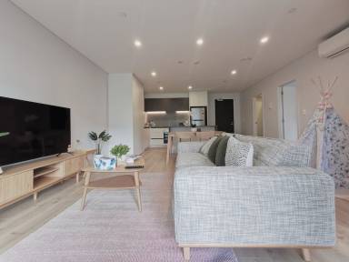 Apartment  Albany