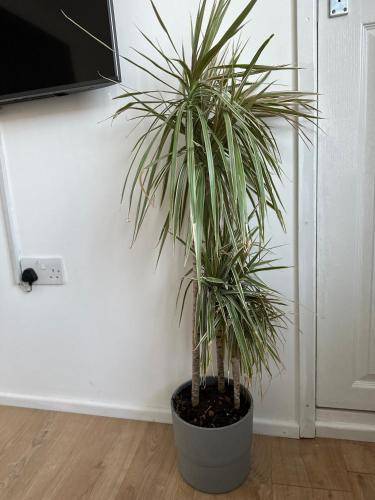 Bed and breakfast West London
