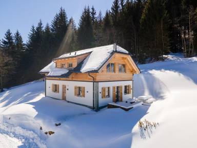 Chalet Planneralm