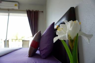Accommodation Internet Sala Dan