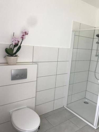 foto18