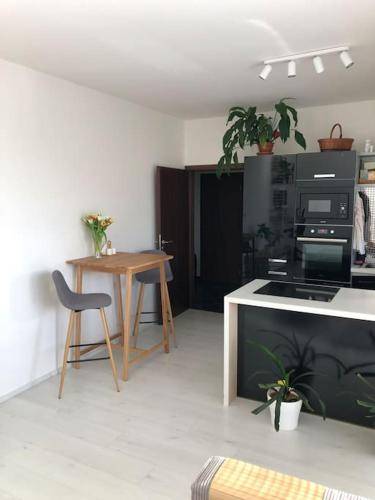 Appartement Praag 11