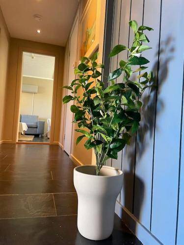 Apartman Trondheim