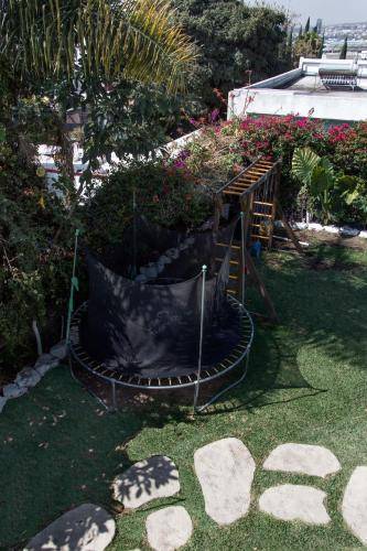 foto5