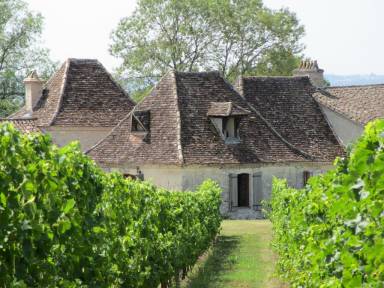 Cottage 60 m²