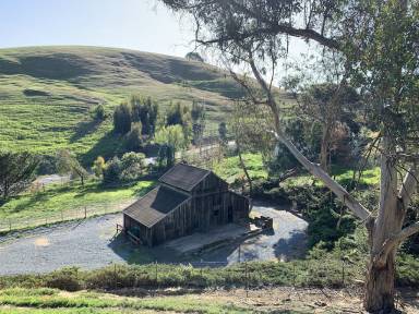 House Petaluma